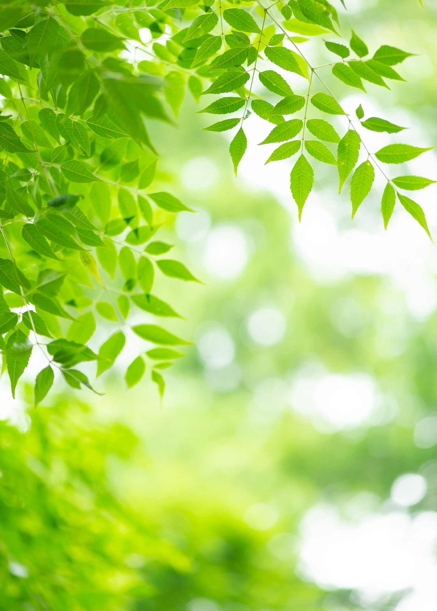 会場の雰囲気（安心して話せるスペース）